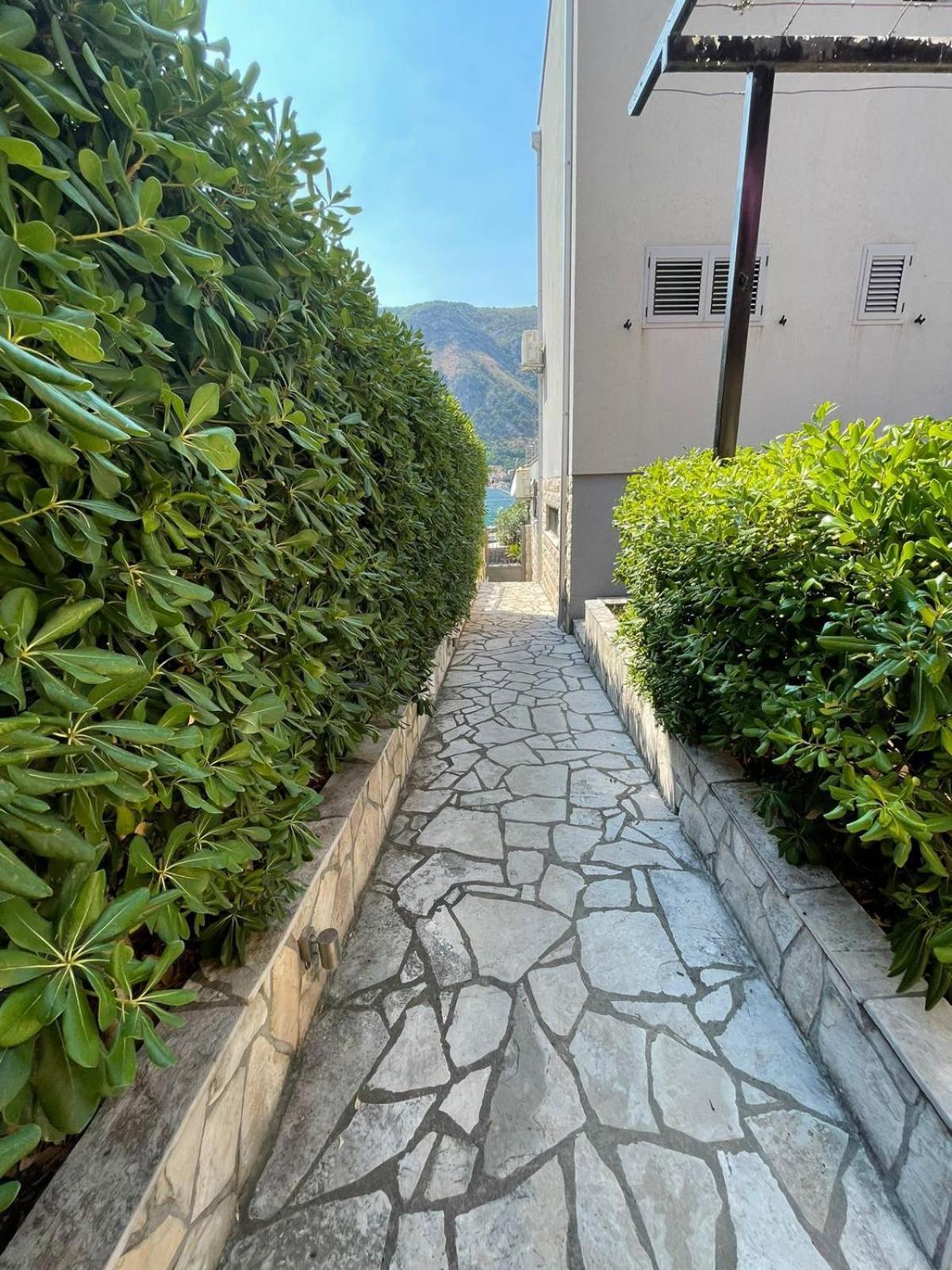 Bjelica Apartments Kotor Luaran gambar